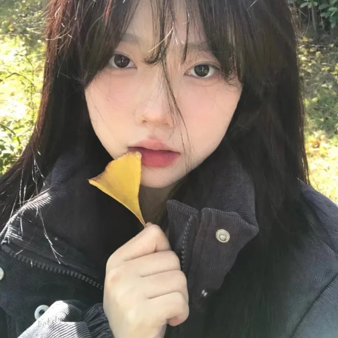 河伯的新娘2017