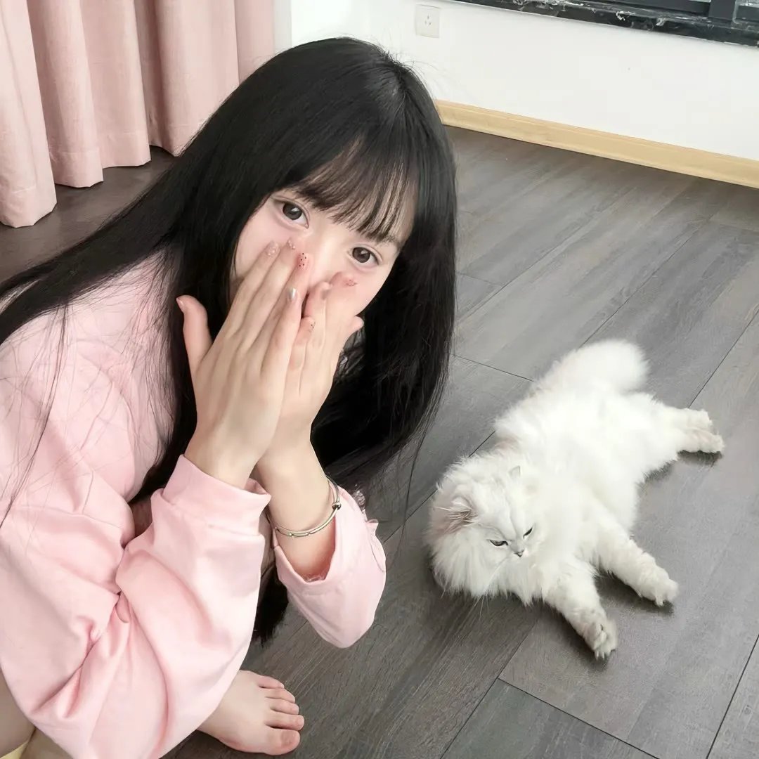 唐娜提拉